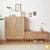 YF-5303T rattan shoe cabinet 