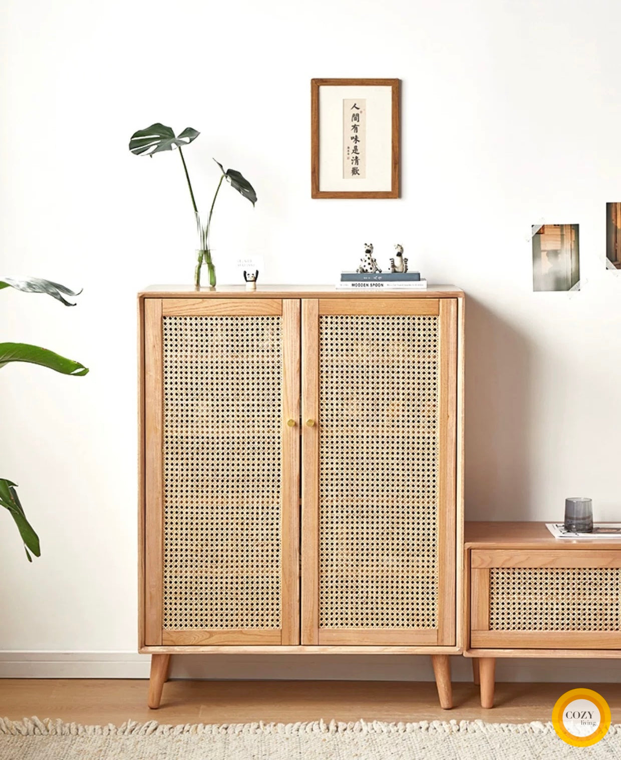 YF-5303T rattan shoe cabinet 