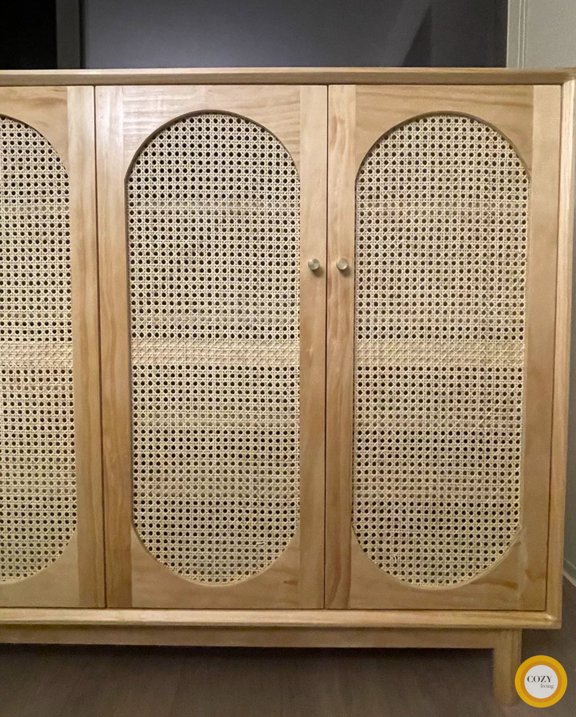 YF-5303T rattan shoe cabinet 