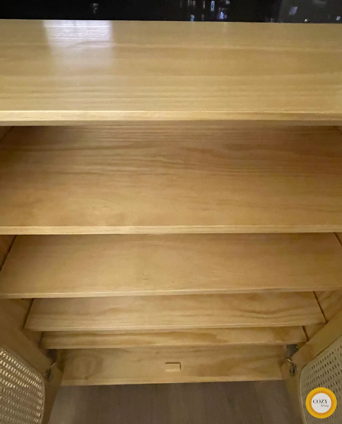 YF-5303T rattan shoe cabinet 
